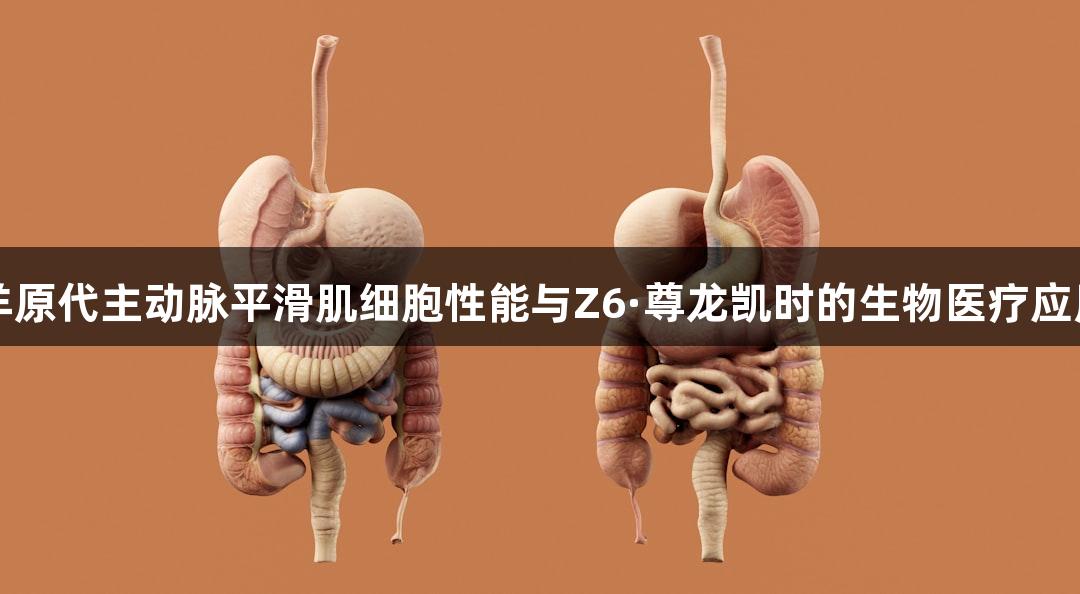 羊原代主动脉平滑肌细胞性能与Z6·尊龙凯时的生物医疗应用