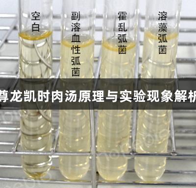 尊龙凯时肉汤原理与实验现象解析