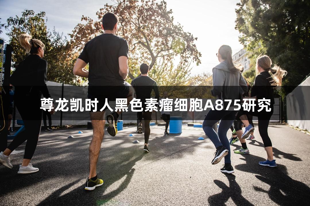 尊龙凯时人黑色素瘤细胞A875研究
