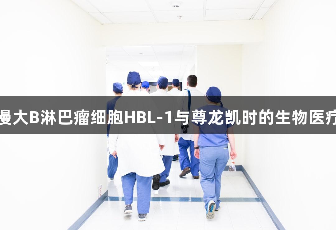 人弥漫大B淋巴瘤细胞HBL-1与尊龙凯时的生物医疗研究