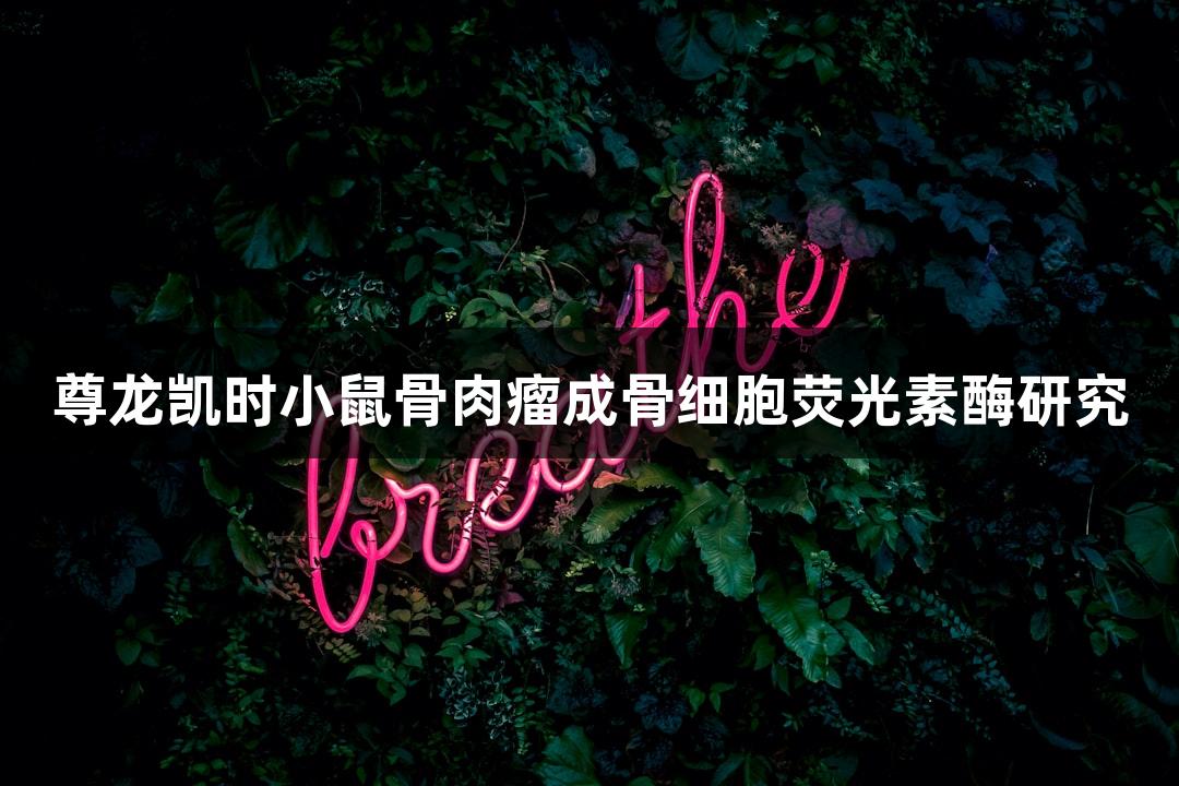 尊龙凯时小鼠骨肉瘤成骨细胞荧光素酶研究