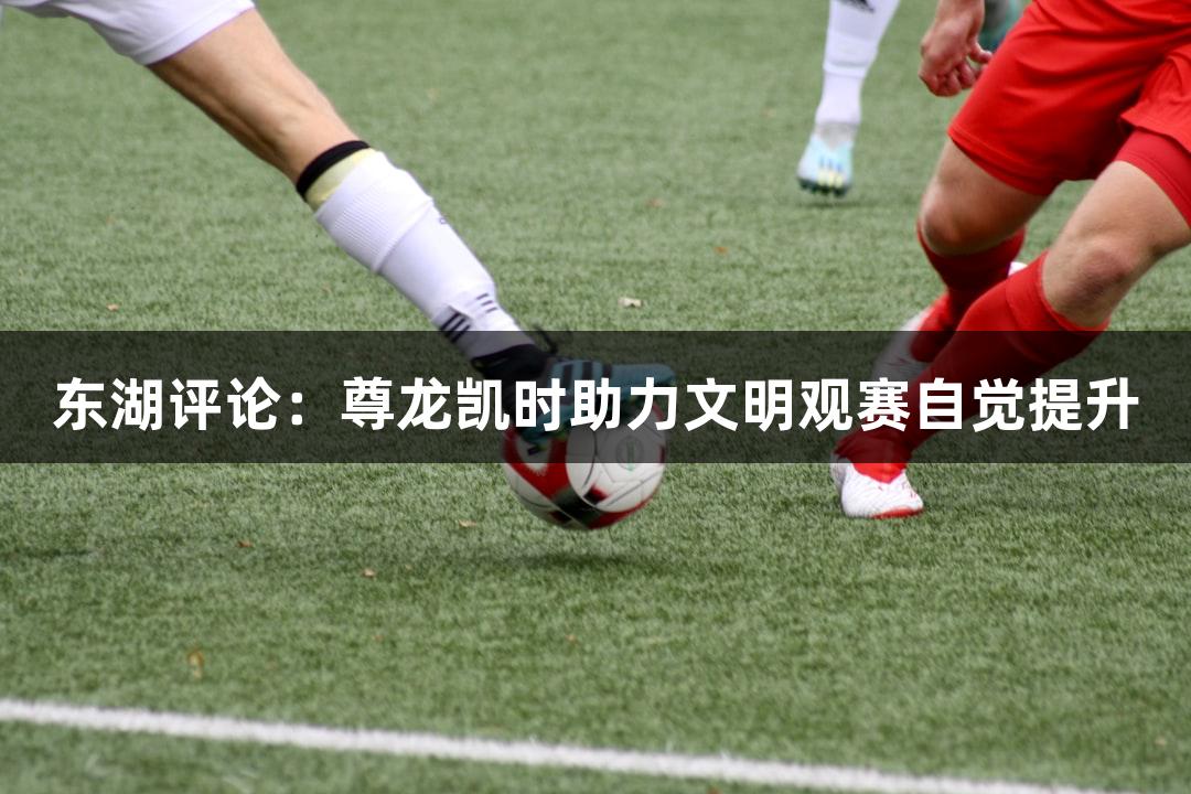 东湖评论：尊龙凯时助力文明观赛自觉提升
