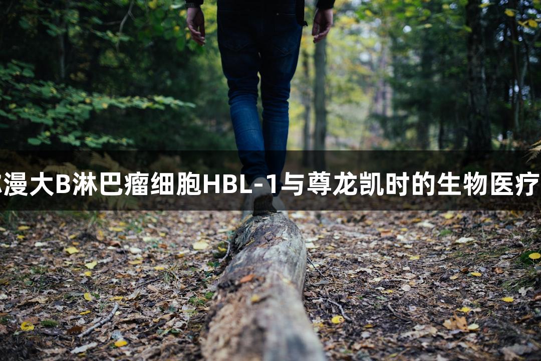 人弥漫大B淋巴瘤细胞HBL-1与尊龙凯时的生物医疗研究