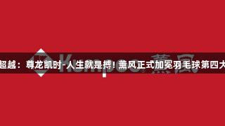 从追随到超越：尊龙凯时-人生就是搏! 薰风正式加冕羽毛球第四大国际品牌
