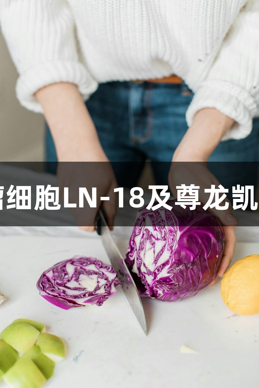 人脑胶质母细胞瘤细胞LN-18及尊龙凯时的生物医疗应用