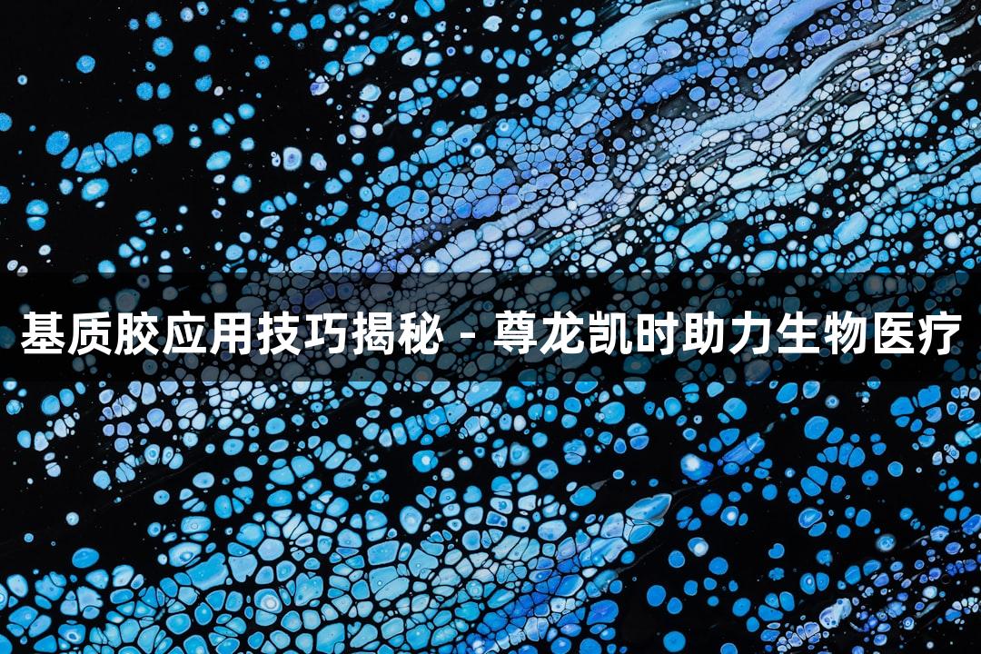 基质胶应用技巧揭秘 - 尊龙凯时助力生物医疗