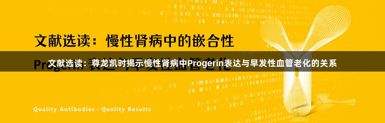 文献选读：尊龙凯时揭示慢性肾病中Progerin表达与早发性血管老化的关系