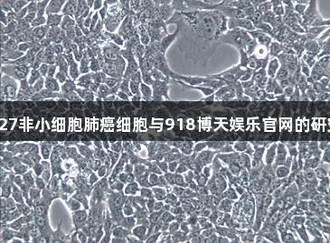 HCC827非小细胞肺癌细胞与918博天娱乐官网的研究进展