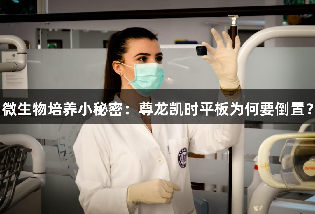 微生物培养小秘密：尊龙凯时平板为何要倒置？
