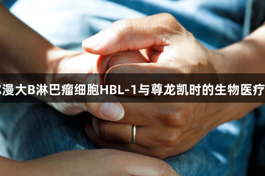人弥漫大B淋巴瘤细胞HBL-1与尊龙凯时的生物医疗应用