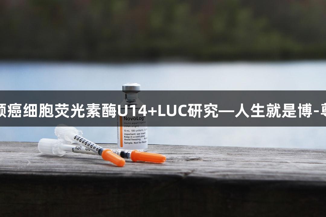 小鼠宫颈癌细胞荧光素酶U14+LUC研究—人生就是博-尊龙凯时