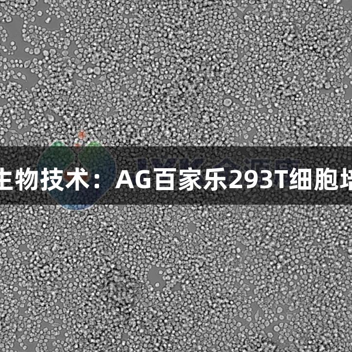 金源康生物技术：AG百家乐293T细胞培养攻略