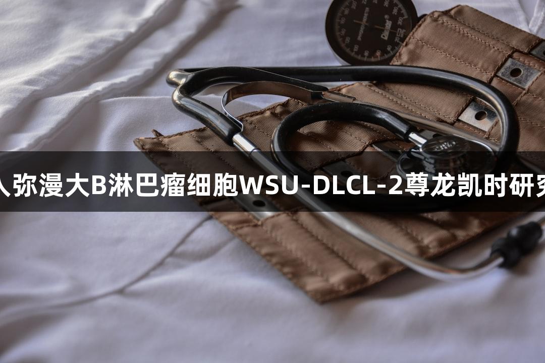人弥漫大B淋巴瘤细胞WSU-DLCL-2尊龙凯时研究