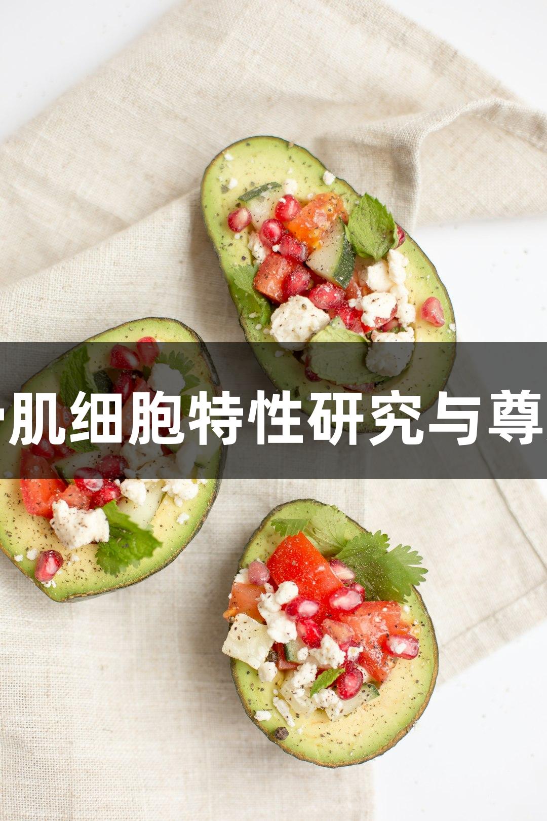 羊原代主动脉平滑肌细胞特性研究与尊龙凯时的应用探索