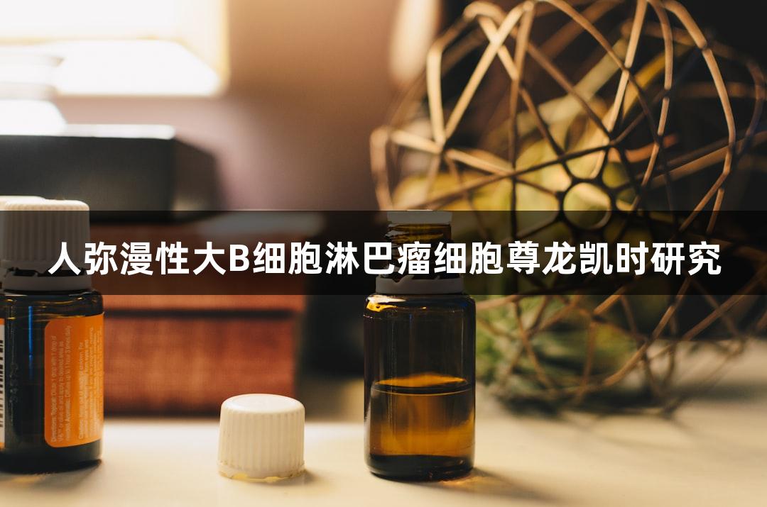 人弥漫性大B细胞淋巴瘤细胞尊龙凯时研究
