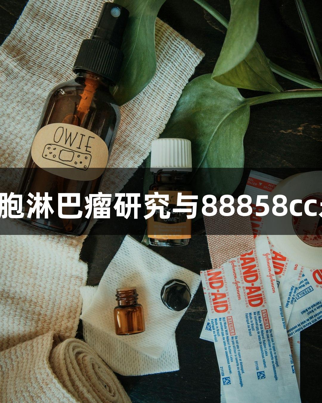 人弥漫性大B细胞淋巴瘤研究与88858cc永利官网的结合