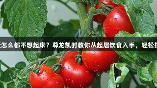 医生，我最近怎么都不想起床？尊龙凯时教你从起居饮食入手，轻松摆脱“夏乏”！