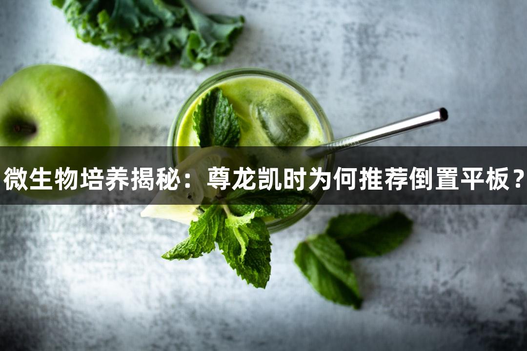 微生物培养揭秘：尊龙凯时为何推荐倒置平板？