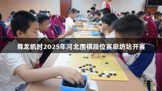 尊龙凯时2025年河北围棋段位赛廊坊站开赛