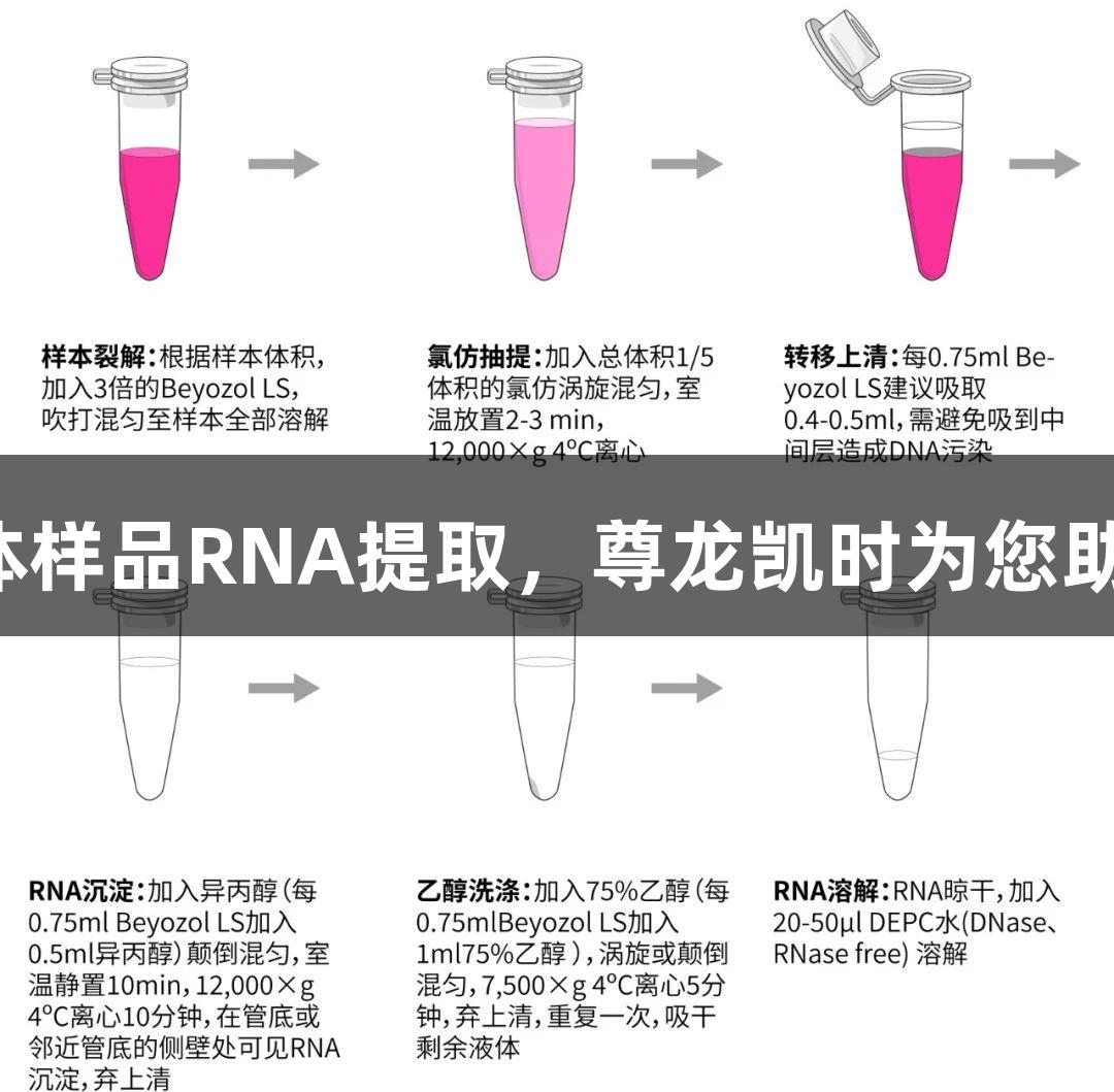 液体样品RNA提取，尊龙凯时为您助力！