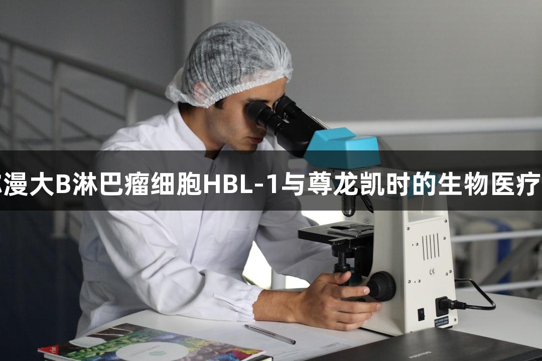 人弥漫大B淋巴瘤细胞HBL-1与尊龙凯时的生物医疗研究