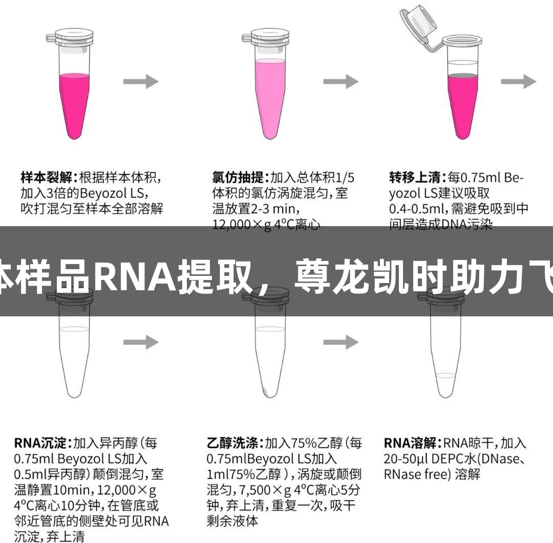 液体样品RNA提取，尊龙凯时助力飞跃！