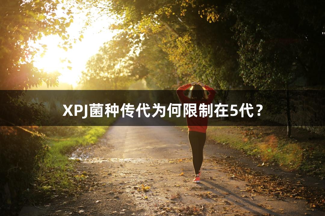 XPJ菌种传代为何限制在5代？