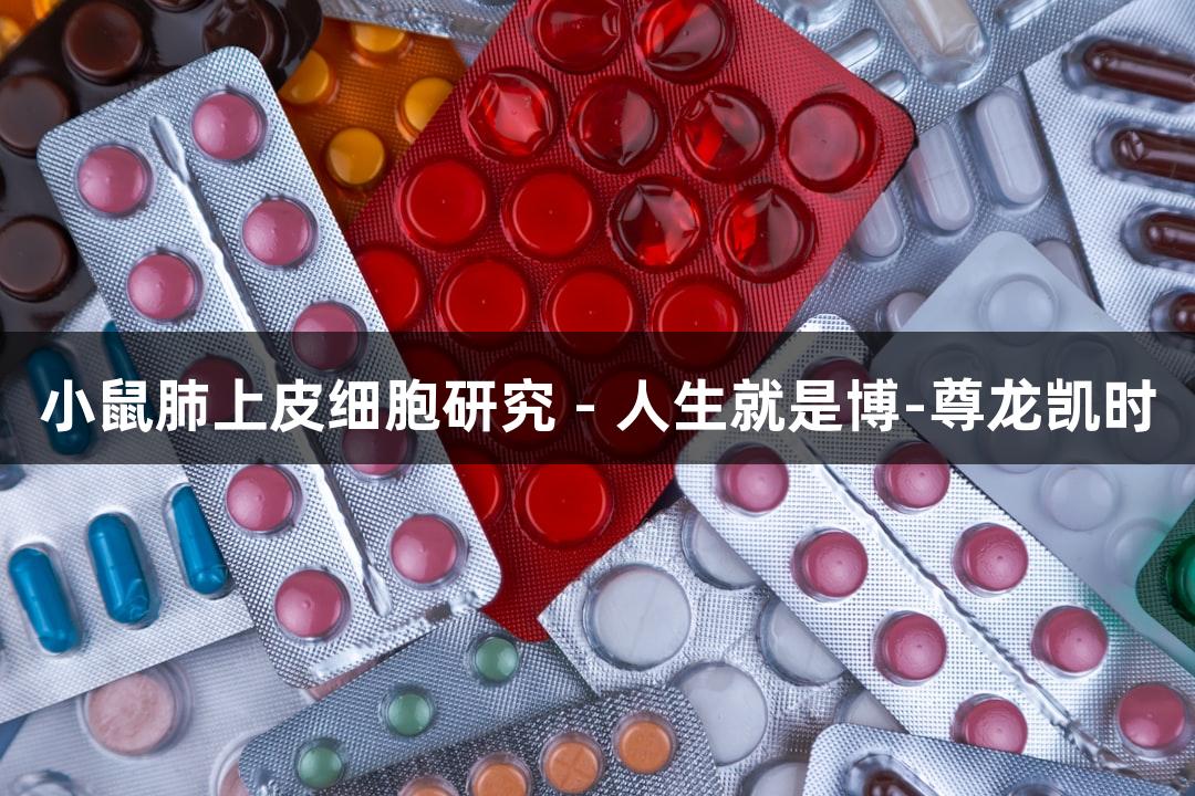 小鼠肺上皮细胞研究 - 人生就是博-尊龙凯时