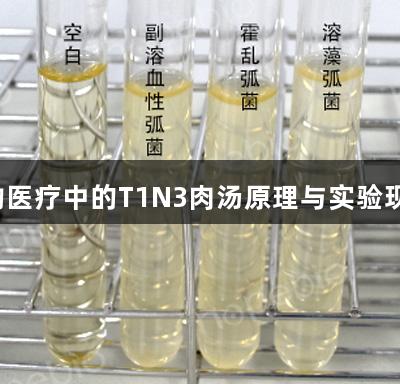 XPJ生物医疗中的T1N3肉汤原理与实验现象解析