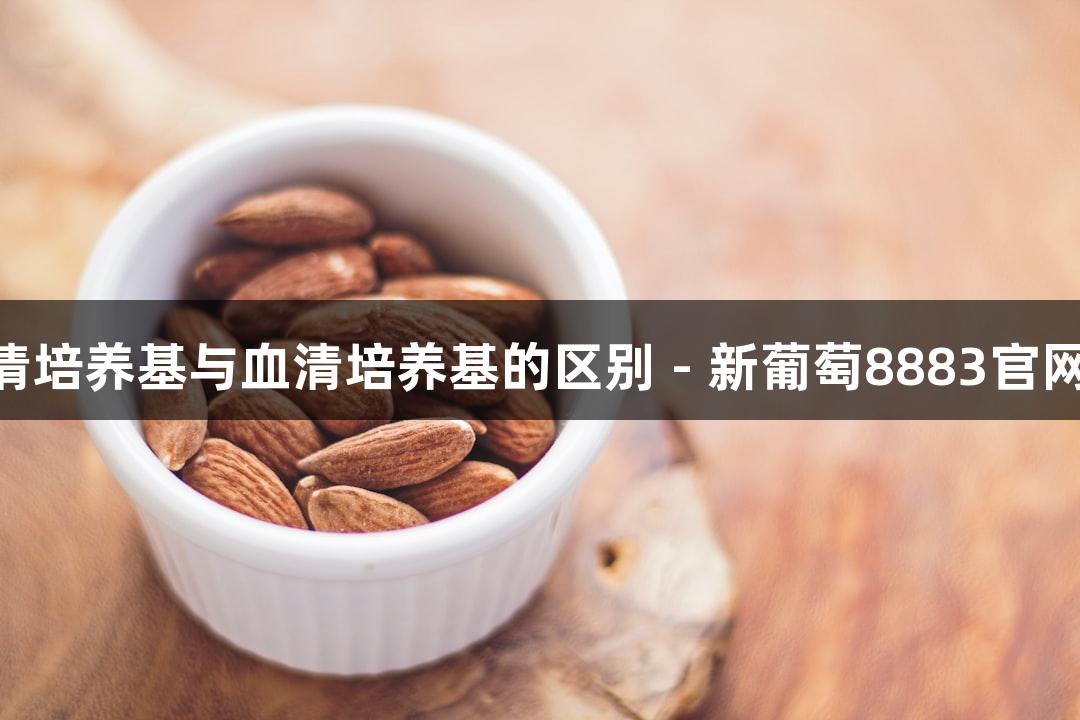 MSC无血清培养基与血清培养基的区别 - 新葡萄8883官网AMG解析