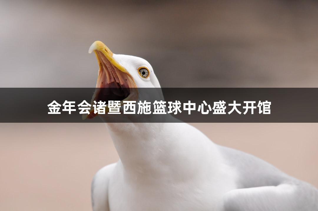 金年会诸暨西施篮球中心盛大开馆