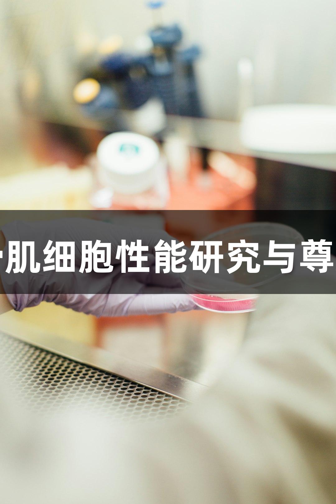 羊原代肺动脉平滑肌细胞性能研究与尊龙凯时品牌的探索