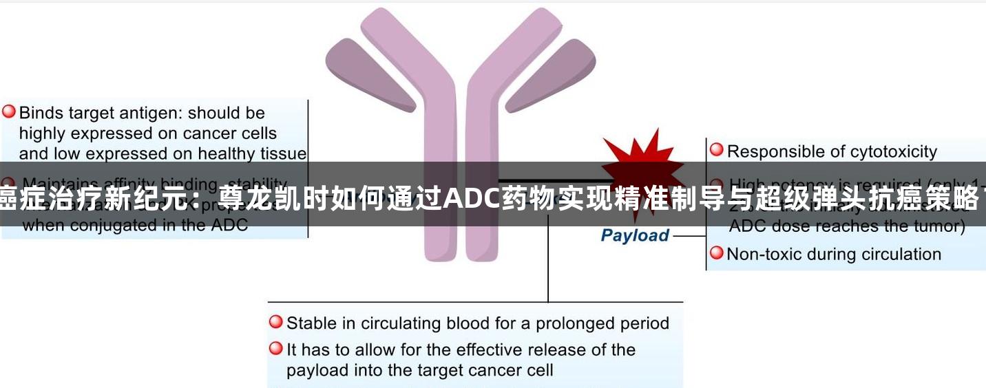 癌症治疗新纪元：尊龙凯时如何通过ADC药物实现精准制导与超级弹头抗癌策略？