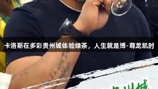 卡洛斯在多彩贵州城体验绿茶，人生就是博-尊龙凯时