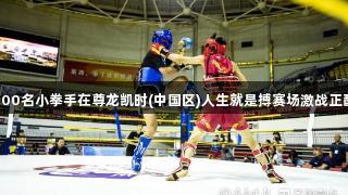 500名小拳手在尊龙凯时(中国区)人生就是搏赛场激战正酣