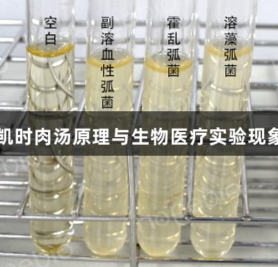 尊龙凯时肉汤原理与生物医疗实验现象探讨