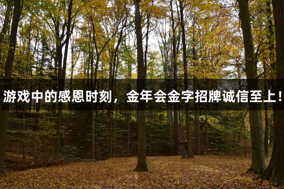 游戏中的感恩时刻，金年会金字招牌诚信至上！