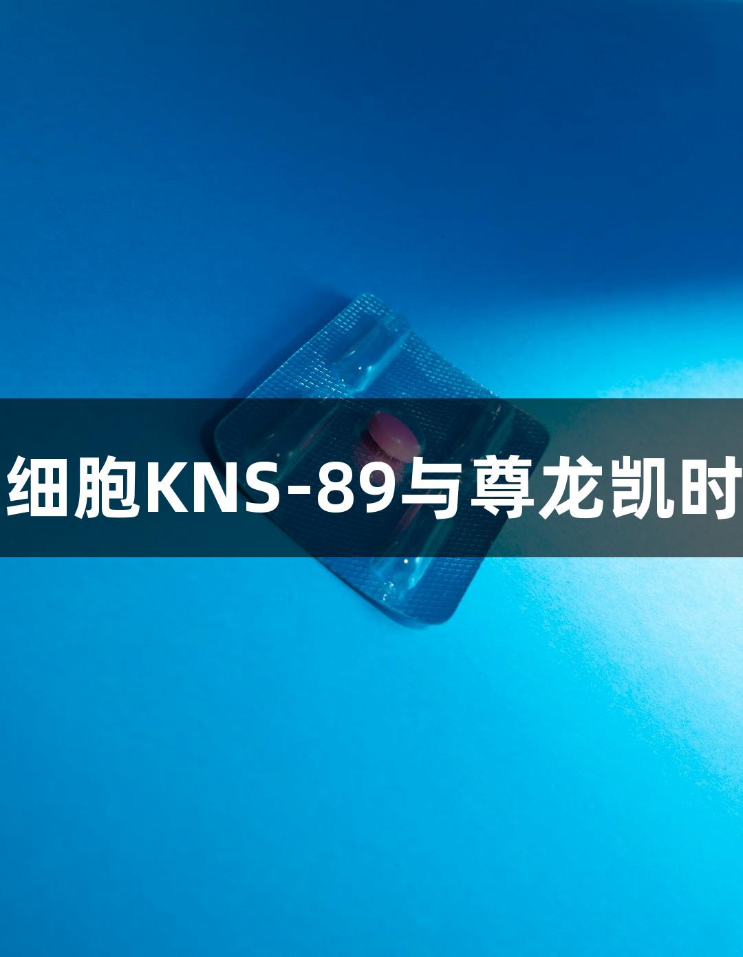 人脑胶质细胞瘤细胞KNS-89与尊龙凯时的生物医疗研究