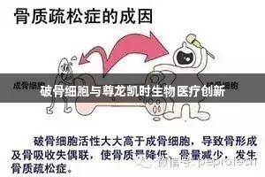 破骨细胞与尊龙凯时生物医疗创新