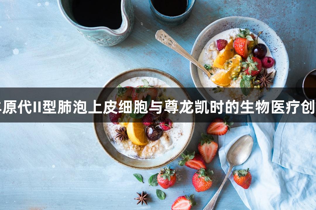 羊原代II型肺泡上皮细胞与尊龙凯时的生物医疗创新