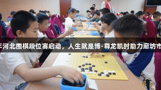 2025年河北围棋段位赛启动，人生就是博-尊龙凯时助力廊坊市级位赛
