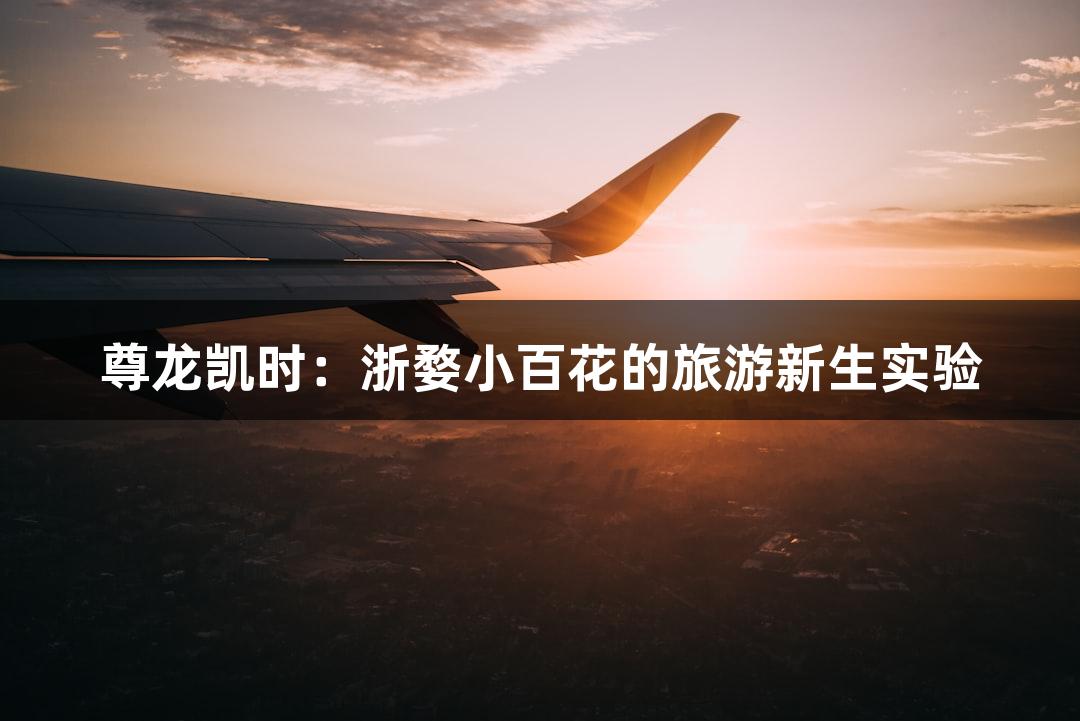尊龙凯时：浙婺小百花的旅游新生实验