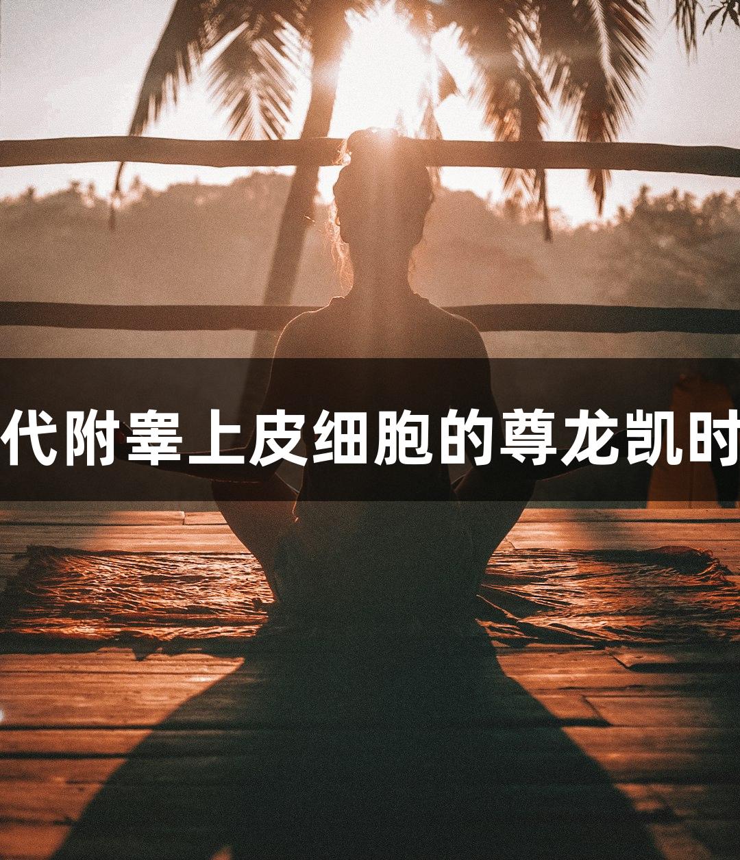 羊原代附睾上皮细胞的尊龙凯时研究