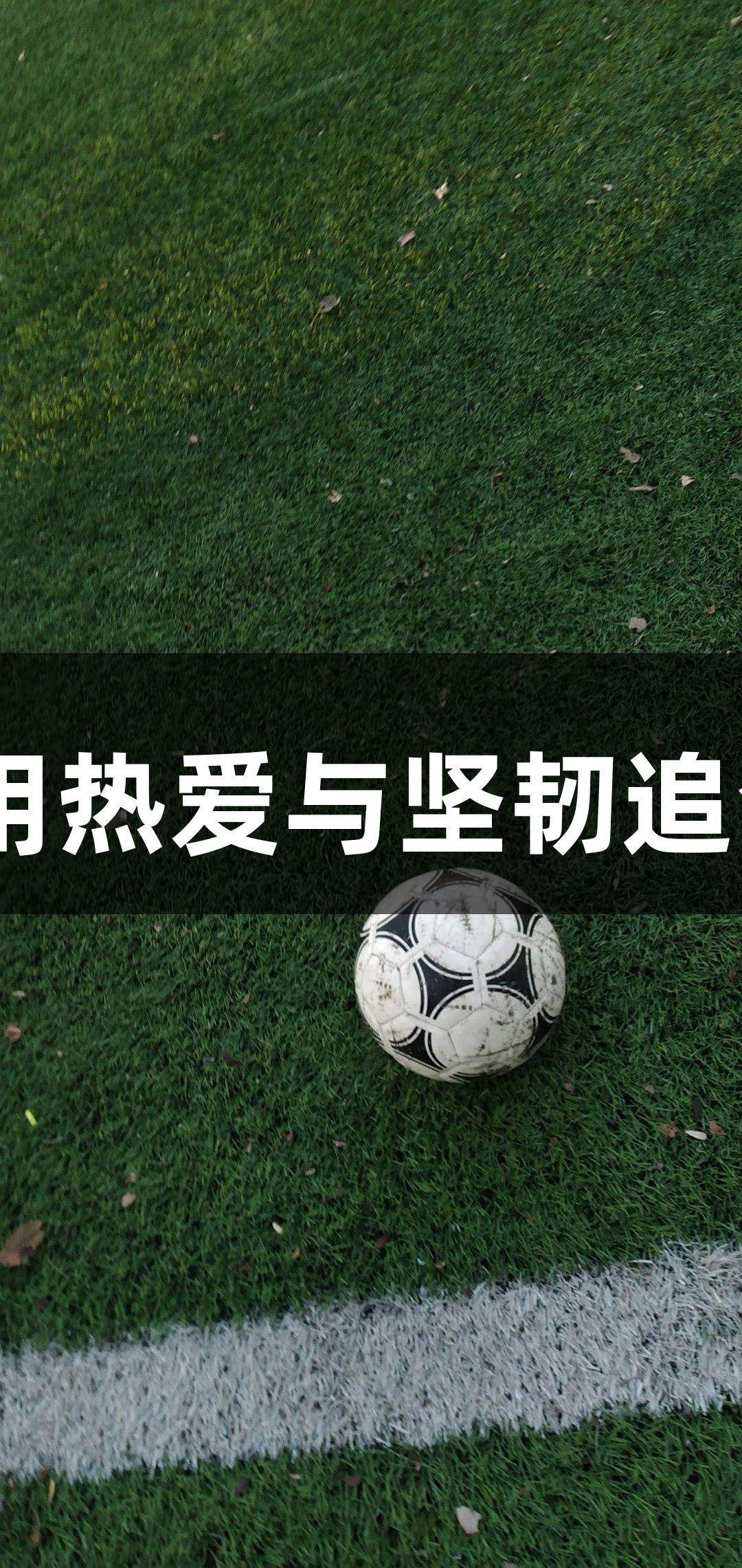 20多位浙BA球员出自杭州高校，用热爱与坚韧追梦，尊龙凯时(中国区)人生就是搏。