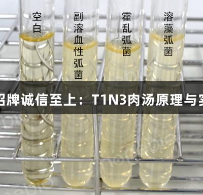 金年会金字招牌诚信至上：T1N3肉汤原理与实验现象探讨