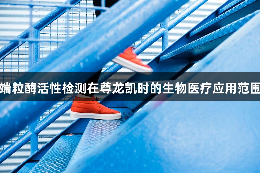 端粒酶活性检测在尊龙凯时的生物医疗应用范围