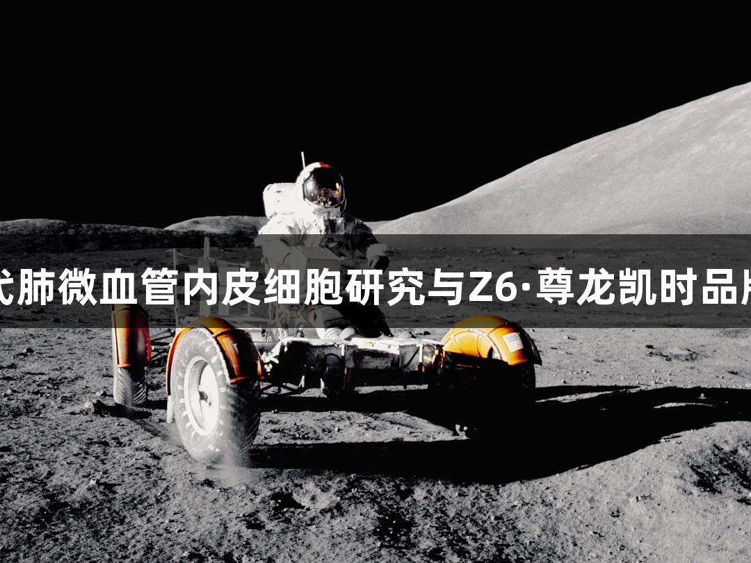 羊原代肺微血管内皮细胞研究与Z6·尊龙凯时品牌探索