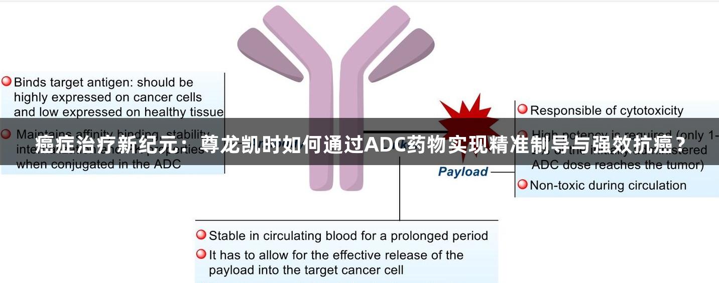 癌症治疗新纪元：尊龙凯时如何通过ADC药物实现精准制导与强效抗癌？