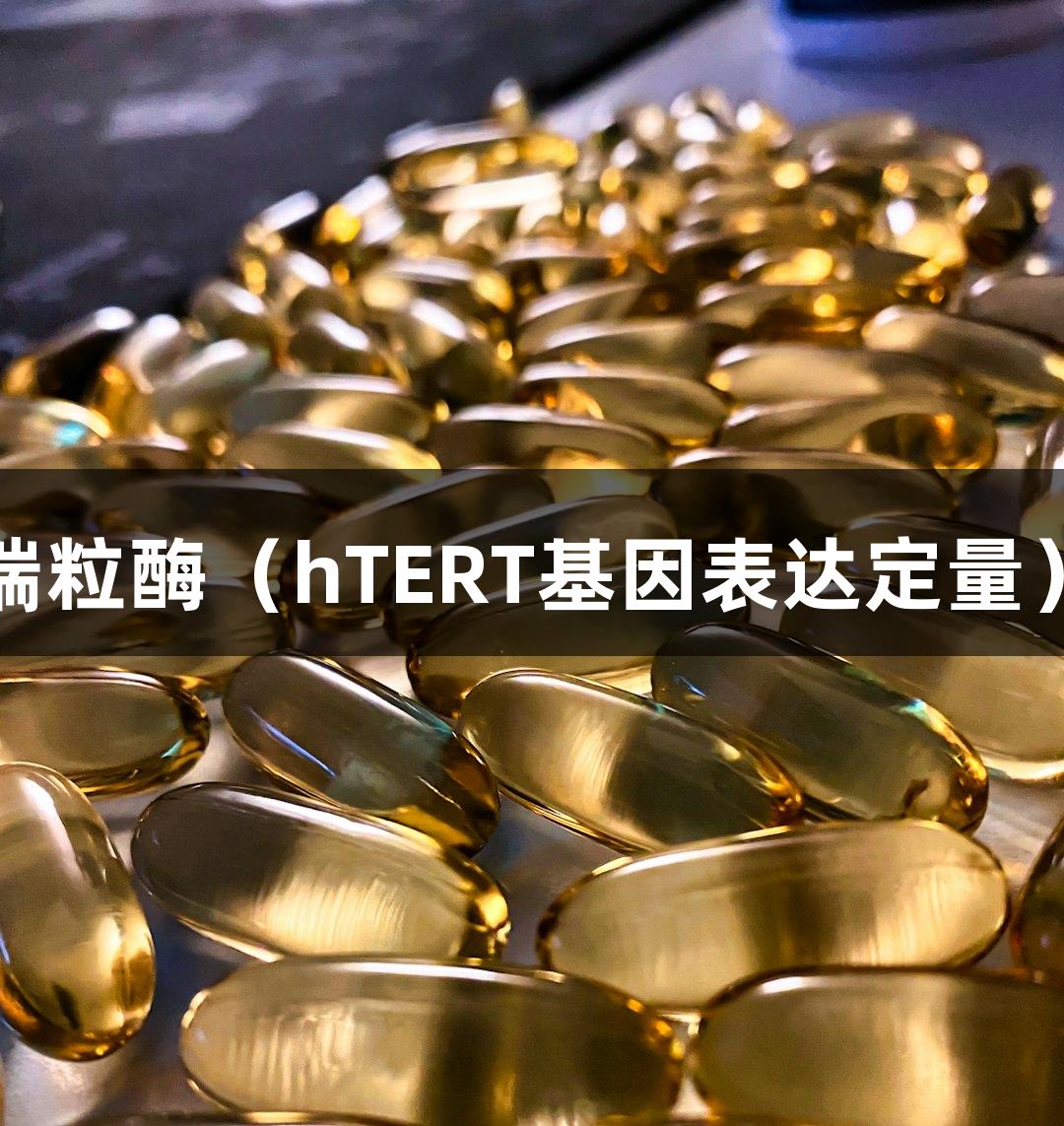 88858cc永利官网端粒酶（hTERT基因表达定量）活性检测适用范围