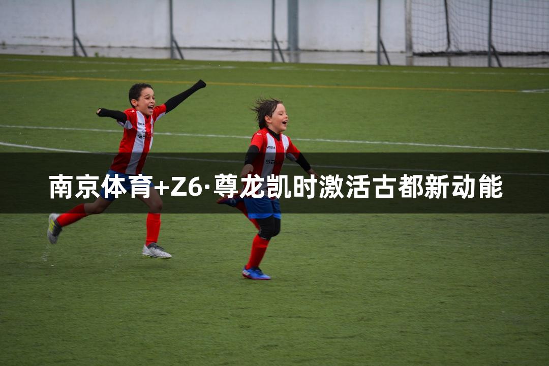 南京体育+Z6·尊龙凯时激活古都新动能